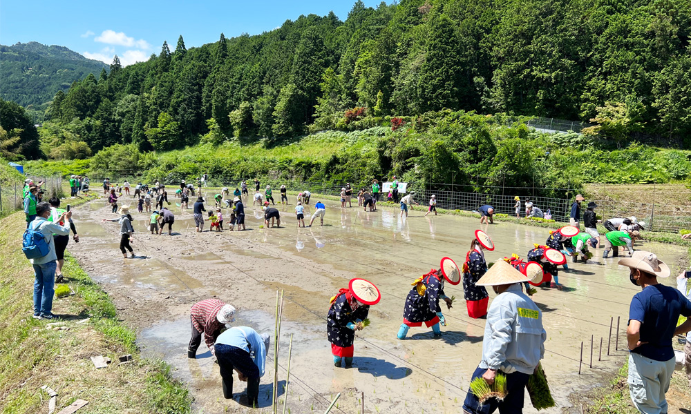 湖国を支えるオヤジの会