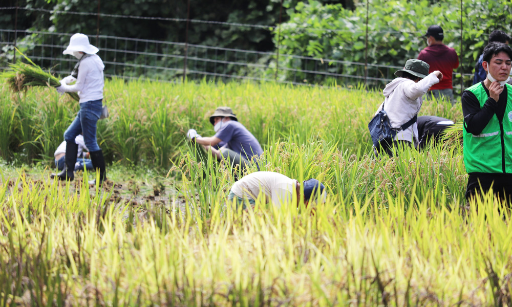 湖国を支えるオヤジの会