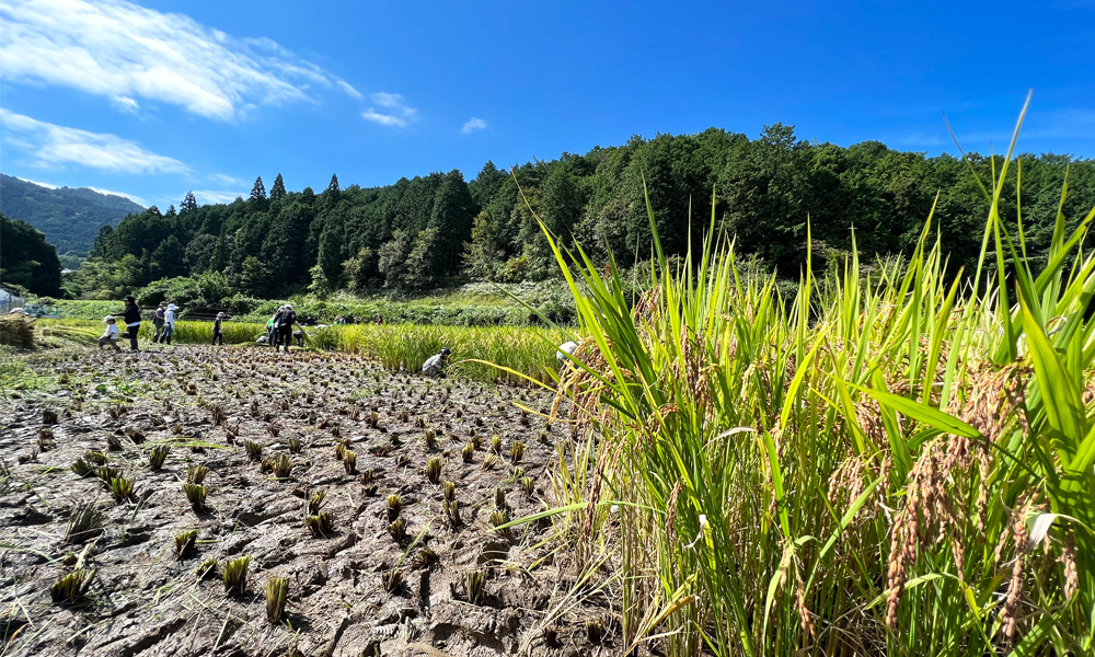 湖国を支えるオヤジの会