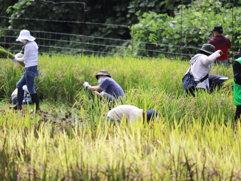 湖国を支えるオヤジの会