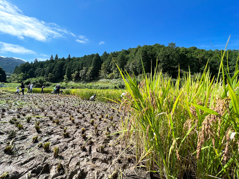 湖国を支えるオヤジの会