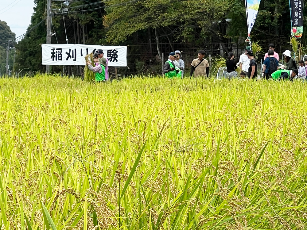 湖国を支えるオヤジの会